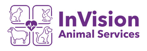 InVision Animal Services